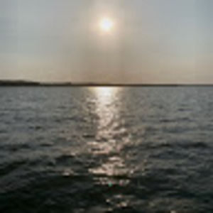 Meet your Posher, Isabel